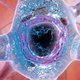 A close-up illustration of abnormal tau tangles, in blue, which play a debated role in Alzheimer’s disease.